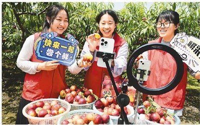 rmrbhwb2023071008p29_b