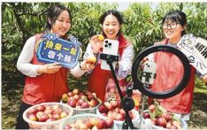 新加坡媒体：中国“新农人”在乡村振兴中学直播