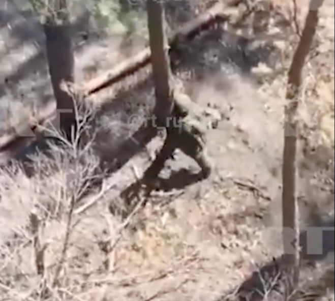 5537b1cba7f45d0e2a1125223147bc16u1