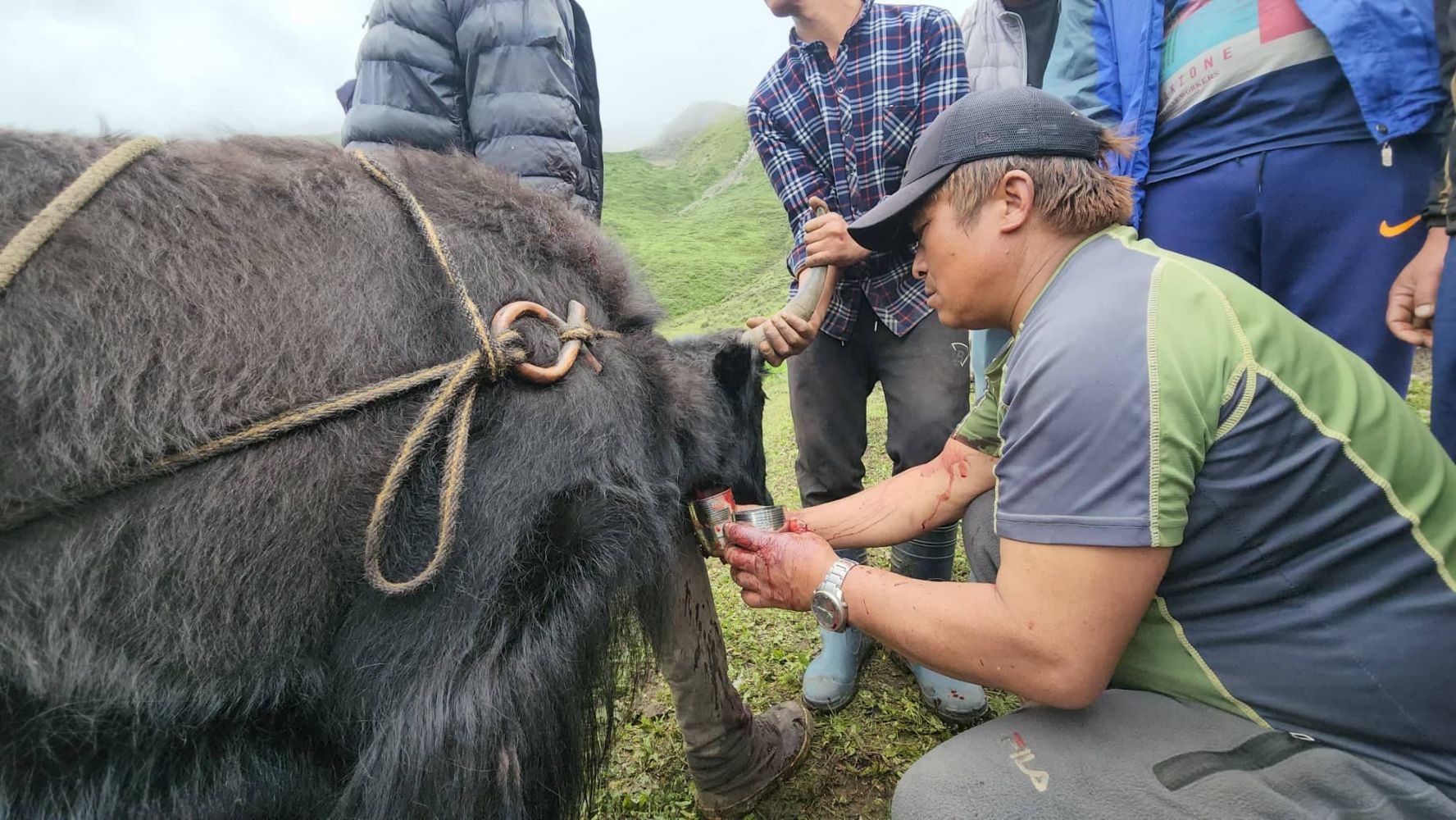 Chauri_Mela_At_Mustang__13_