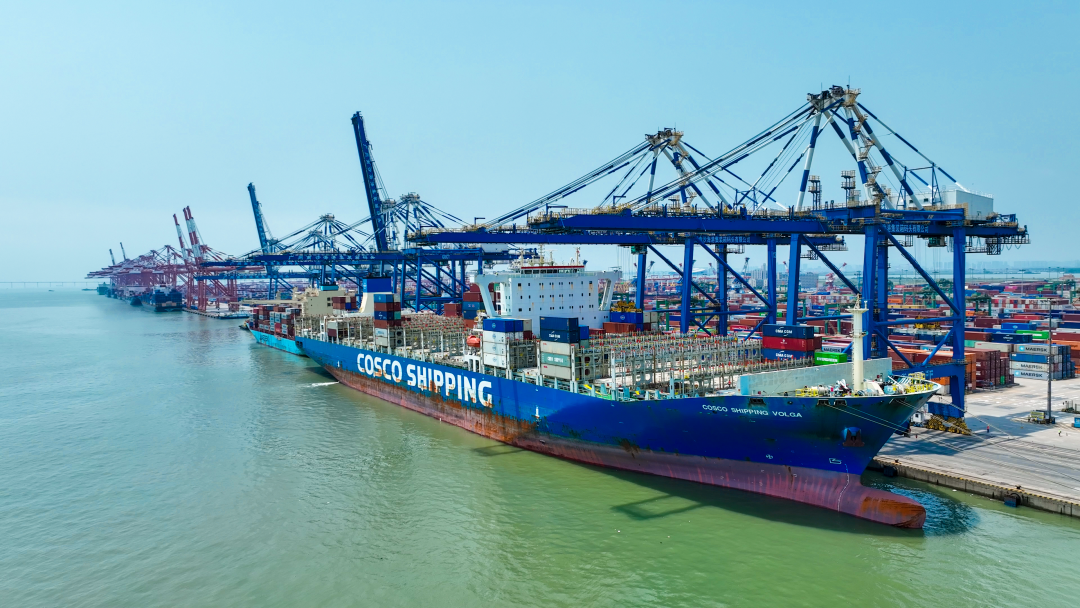 e6728f3a24cd4f79a6dedf39d427ec1a