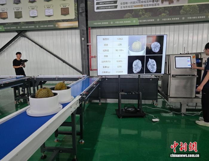 1752926446296_403a79ee1f981e73437b6bee4ab5f416