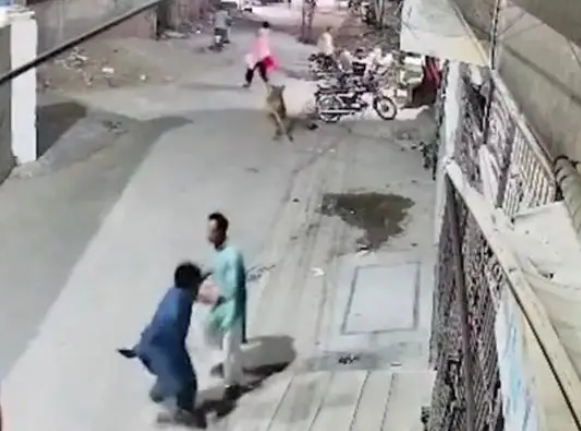 Weixin Image_20250720231950