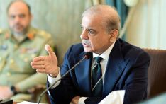 “巴铁”力推“中国制造”电动车辆，多家中国品牌受关注