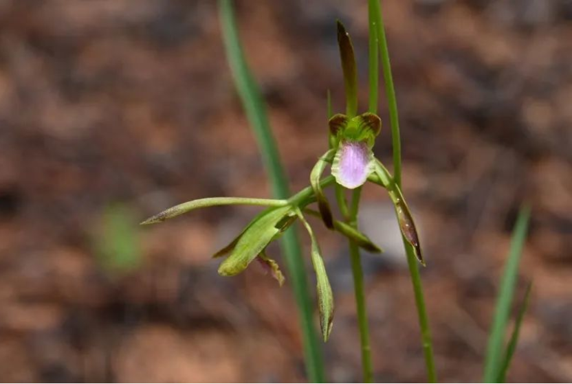 Weixin Image_20250722222229