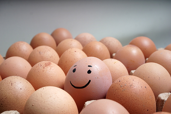 71492a9dbd4a2e22fff27c346ae466ffu5