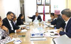 尼泊尔加速电信网络升级，推动数字发展进程