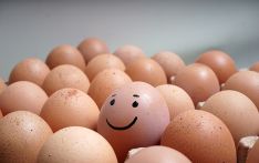 韩媒：韩国年轻人热衷性格测试