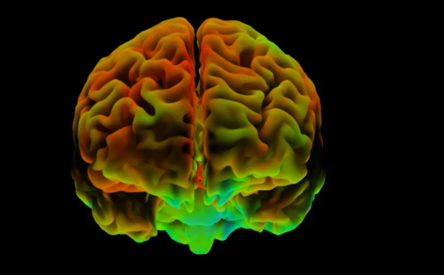 Weixin Image_20250724215807