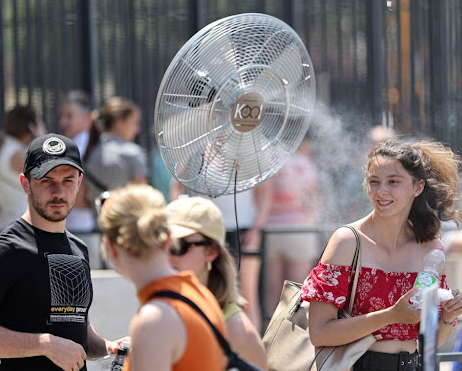 ba7c2c1f-b006-468b-a210-44789e6958dd