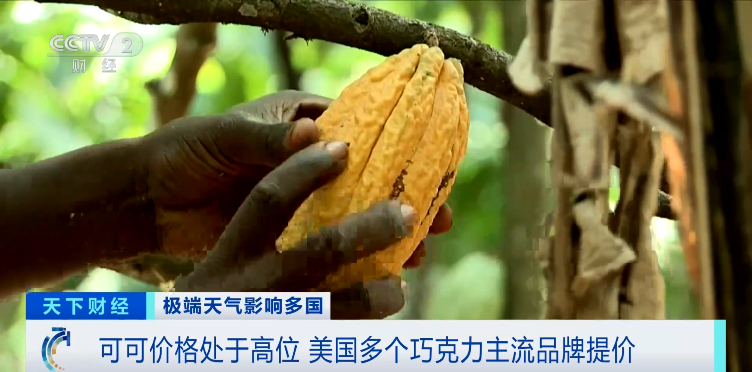 a83f2b7f13ce330ae0fe0b0e447d9db2