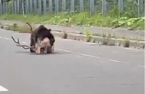 9a331c80c1ec902111b906e059c6bcd3u1