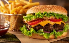 汉堡的“不确定”起源