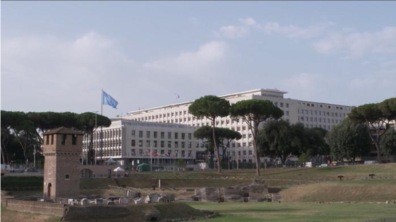 Weixin Image_20250728215459