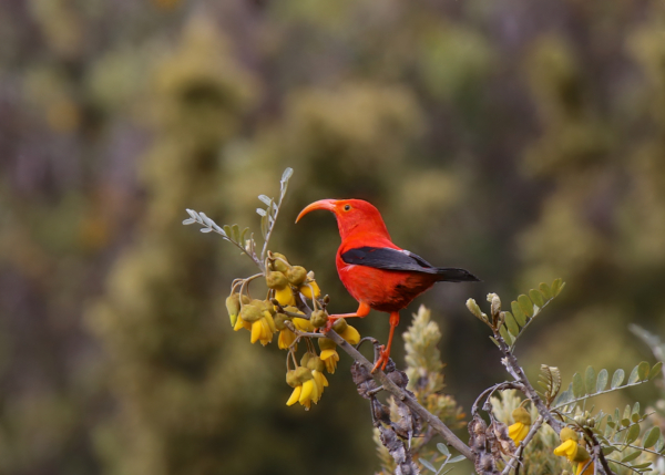 id14560837-shutterstock_1047707695-e1753483138102