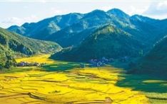 一个北回归线上的千年边城，成为连通周边重要桥梁——那坡 那歌 那花朵（边城见闻）