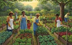 美媒：“逆向移民”，非裔美国人去肯尼亚创业