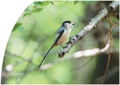 40982027ae9efd2a8e38bb40c94604fd