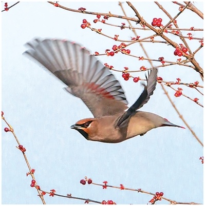 2f5e34a6d678535c4d458dfe9883e970