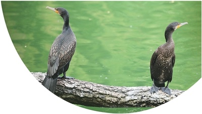 ec048751eb4b8c532e36c3c10cdea102