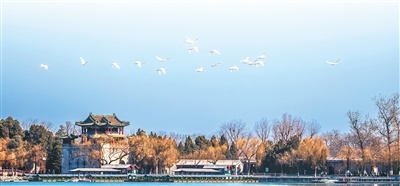 76cb777584cd3b5931ef582825153725