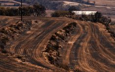 西班牙葡萄牙受山火炙烤 大风高温更添风险
