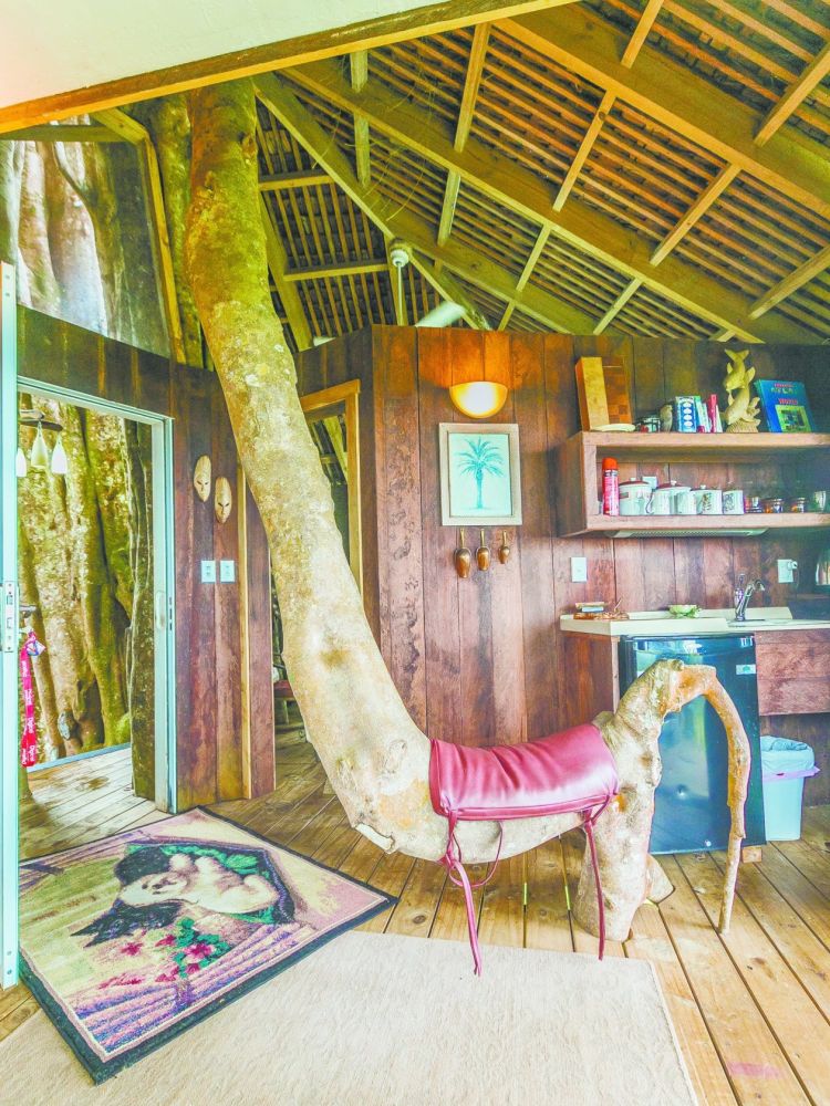 b8bec7a3bb20229a433cf61315bb2684u5