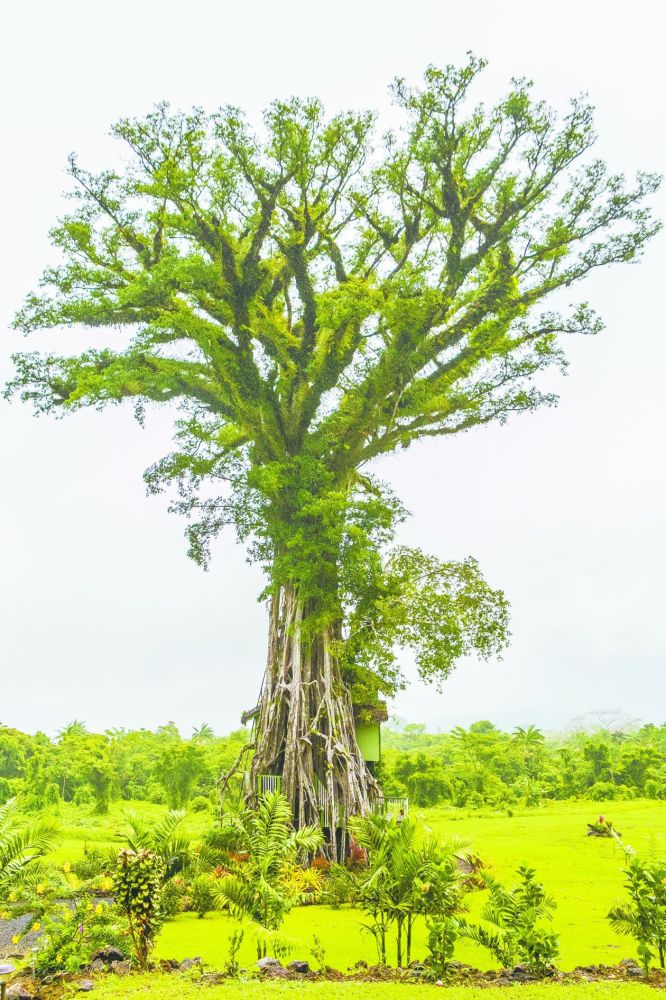 6539ce13a7f1f800d231c7393d33f12eu5