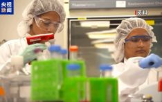 特朗普威胁对药品征高额关税 行业人士：“美国制造”未必实惠