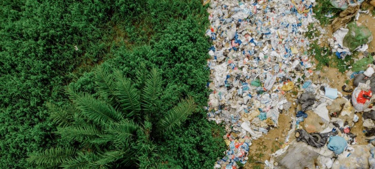 28ed70128c08848c50ae72148a61e7da