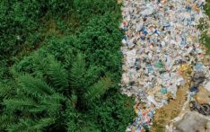 《柳叶刀》杂志警示：塑料污染每年造成损失超1.5万亿美元