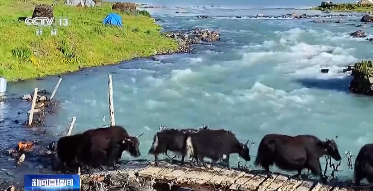 7b014736c0f8a648f8925e3b97acc490