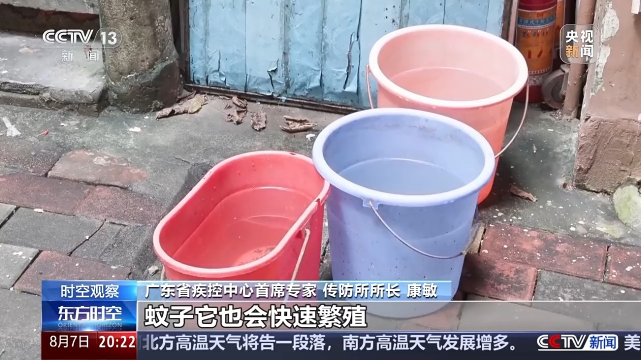 03ec8726cd194e141c2a081e4a831c1d