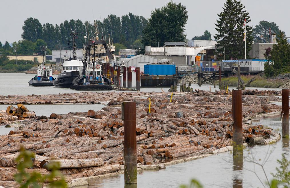 90e60e98e9d33f81efa7efb5142dce6d