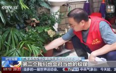 广东基孔肯雅热疫情快速上升势头初步遏制 如何优化防控措施？专家详解