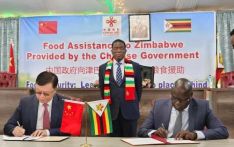 中国向津巴布韦提供新一批粮食援助