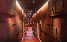 视频| “中尼携手 玉树新生”——从地震废墟到国际商贸中心