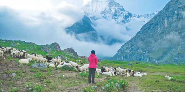 Everest fees rise, but Nepal’s ‘hidden peaks’ are now free