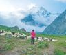 Everest fees rise, but Nepal’s ‘hidden peaks’ are now free