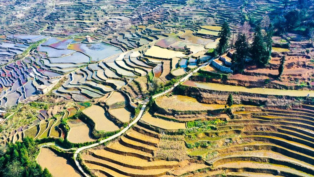 a9665b0c4db4481eb64cfa628435b9e6