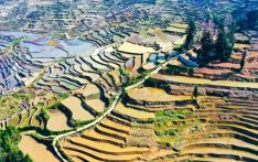 西班牙记者云南行：梯田、寺庙与飞檐翘角里的中国