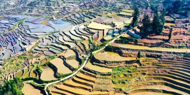 西班牙记者云南行：梯田、寺庙与飞檐翘角里的中国