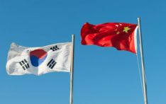 传播涉华虚假信息，涉嫌侮辱外交使节，韩国立案调查右翼团体