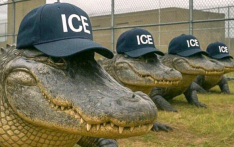 英媒：鳄鱼恶魔岛，一场残酷的表演性惩罚