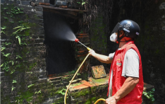 这些有关基孔肯雅热的传言可信吗？