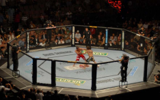 UFC总裁确认：已与特朗普沟通，将于明年在白宫举办首场“八角笼”格斗赛