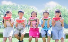 日媒：缓解员工育儿焦虑，日本一企业暑期帮忙“带孩子”