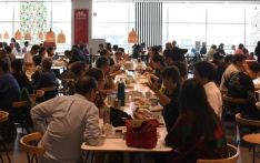 西班牙记者：探访上海老年相亲角