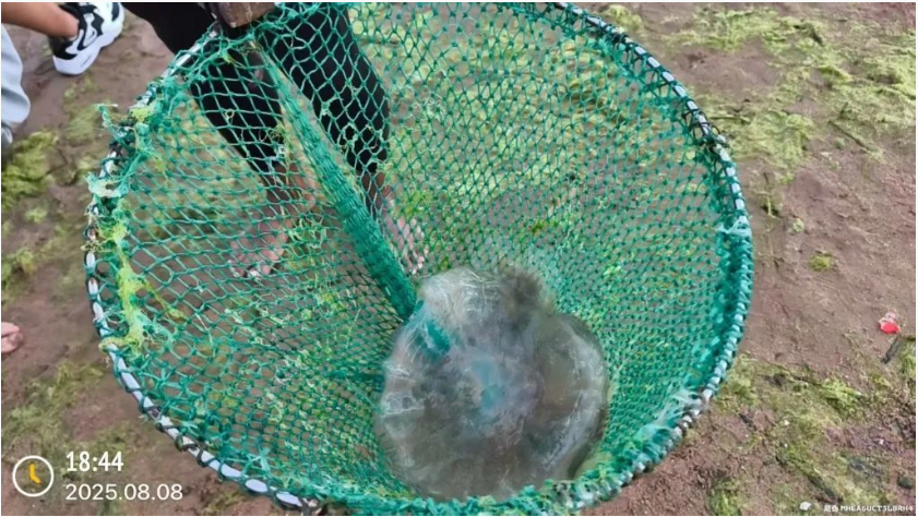 Weixin Image_20250814000158