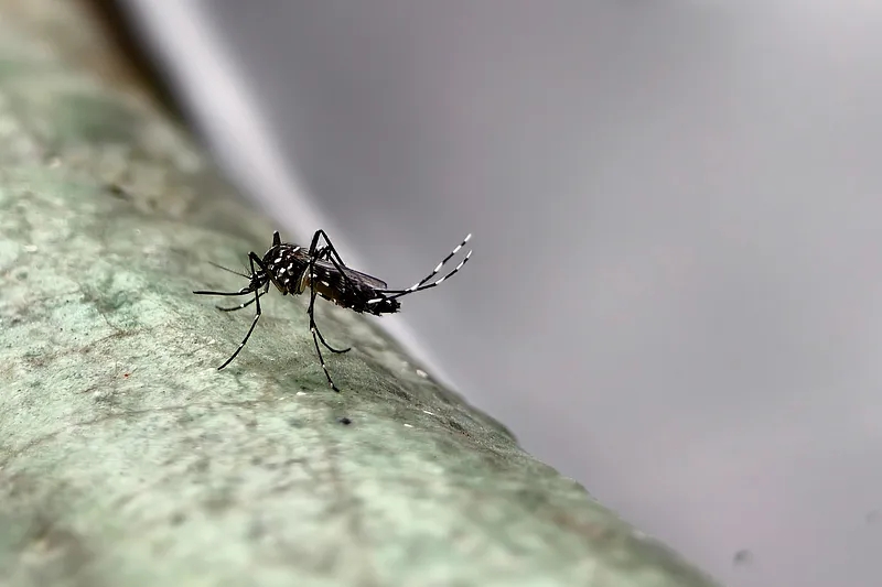 b7abf6d43d6147a99ee466b6ff3fd294